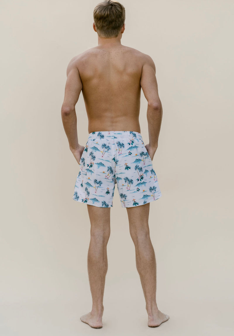 Marco Swim Shorts